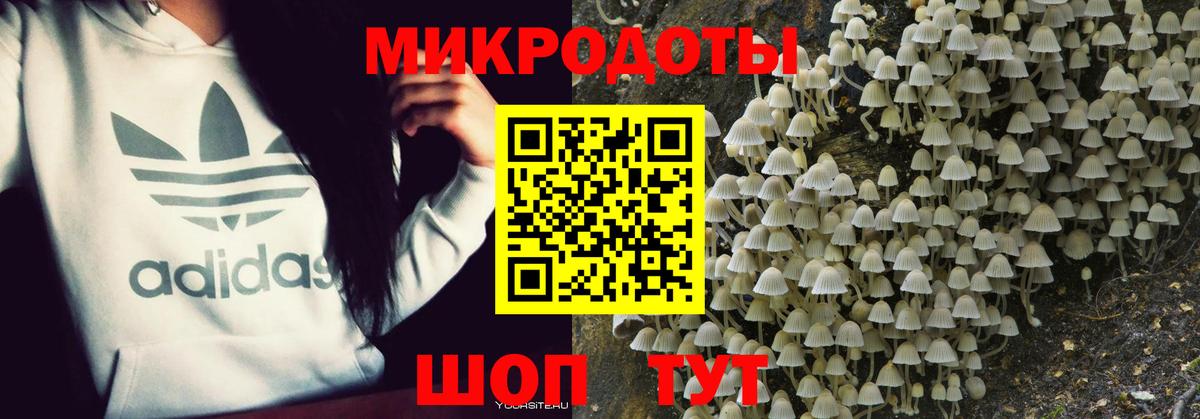 Псилоцибиновые грибы Psilocybine cubensis Александров